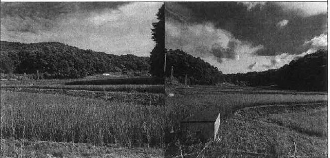 ▲농지법·주민등록법 위반 의혹이 제기된 윤희숙 의원 부친 소유의 농지 (귄익위)