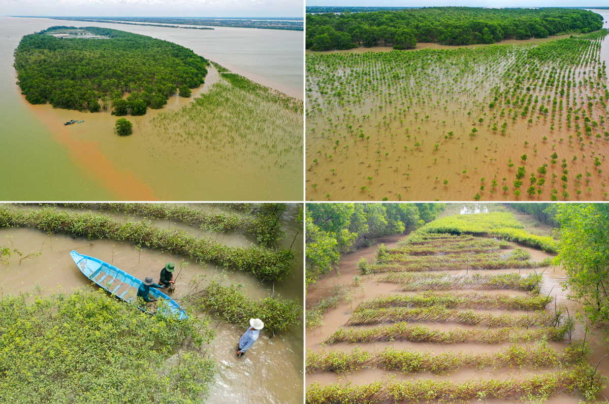 ▲SK이노베이션이 올해 6월부터 베트남 짜빈성 일대에서 현지 주민들과 함께 시행한 맹그로브 묘목 식수 활동. (사진제공=SK이노베이션)