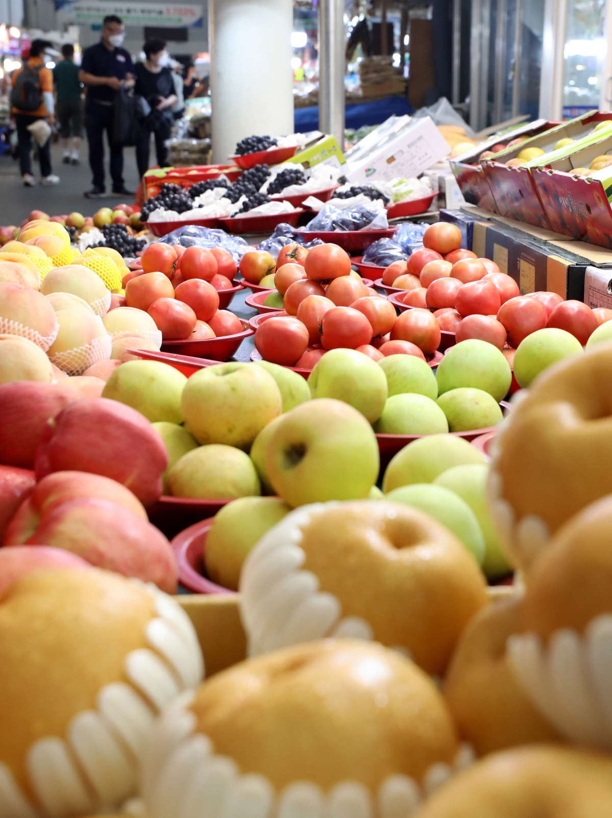 ▲올해 추석 장바구니 물가 안정을 위해 정부가 추석 성수품 공급을 하루 앞둔 29일 서울 중구 중부시장에서 시민들이 장을 보고 있다. (뉴시스)