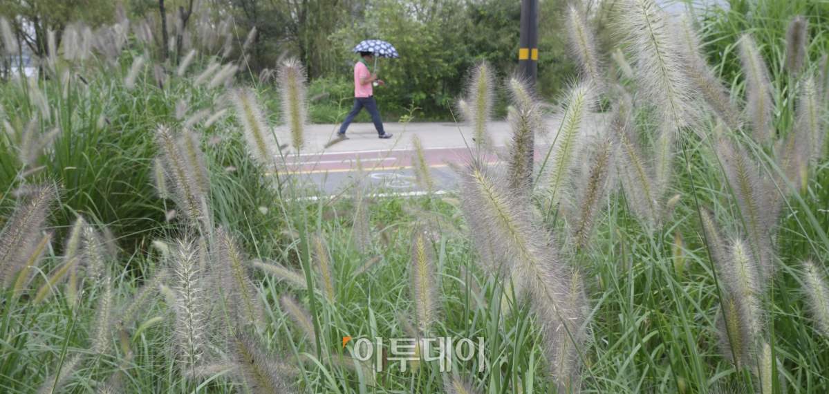 (조현호 기자 hyunho@)