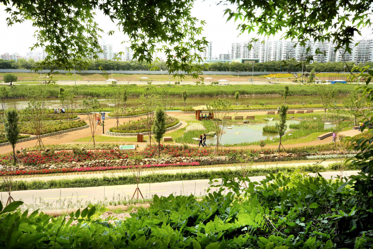 ▲안양천 생태초화원 (사진제공=구로구)