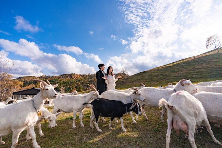 (출처=네이버 '몽토랑 산양목장' 업체제공사진)