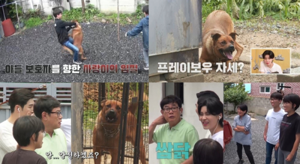 ▲‘개는 훌륭하다’(사진제공=KBS 2TV)