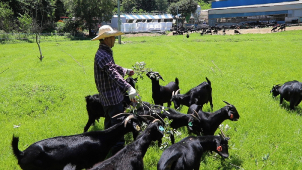 ▲'한국기행'(사진제공=EBS1)