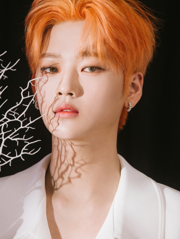 ▲위아이 강석화