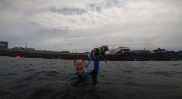 ▲'관찰카메라24'(사진제공=채널A)