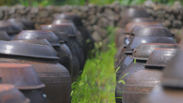 ▲'한국기행'(사진제공=EBS1)