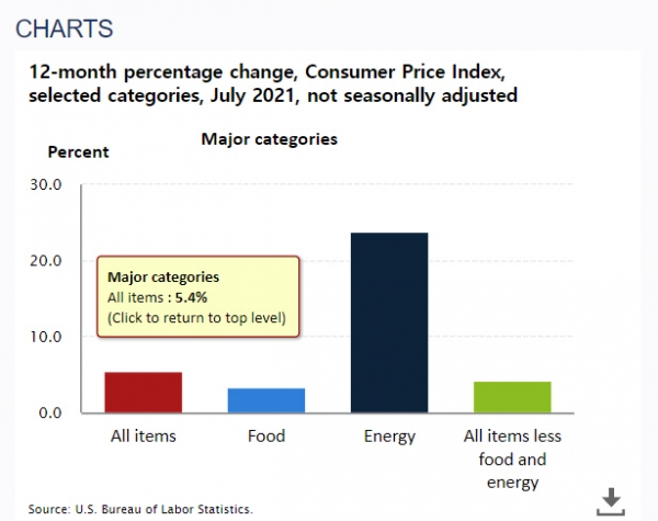 ▲미국 7월 소비자물가지수 현황. 출처 미 노동부 웹사이트