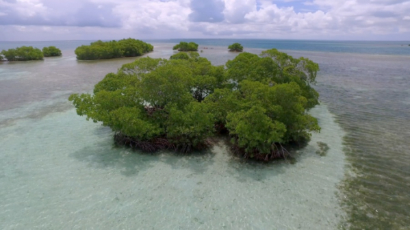 ▲'걸어서 세계속으로'(사진제공=KBS 1TV)