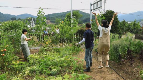 ▲'한국기행'(사진제공=EBS1)
