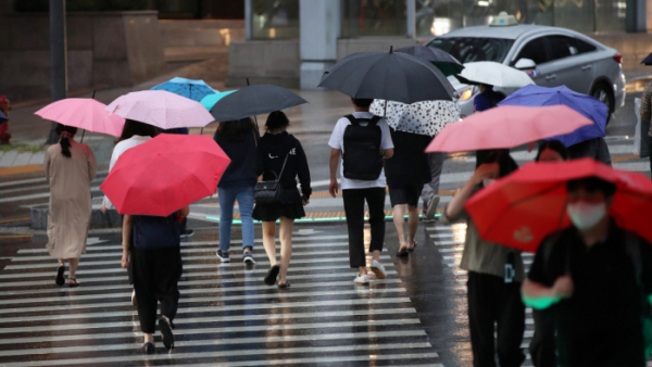 ▲제12호 태풍 '오마이스'가 우리나라를 향해 북상하고 있는 23일 서울 중구의 한 도로에서 시민들이 우산을 쓰고 지나가고 있다. (뉴시스)
