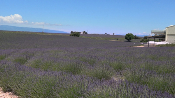 ▲'걸어서 세계속으로'(사진제공=KBS 1TV)