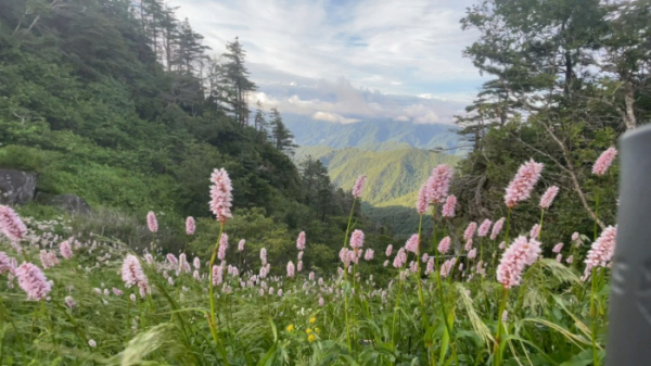 ▲'영상앨범 산'(사진제공=KBS 2TV)