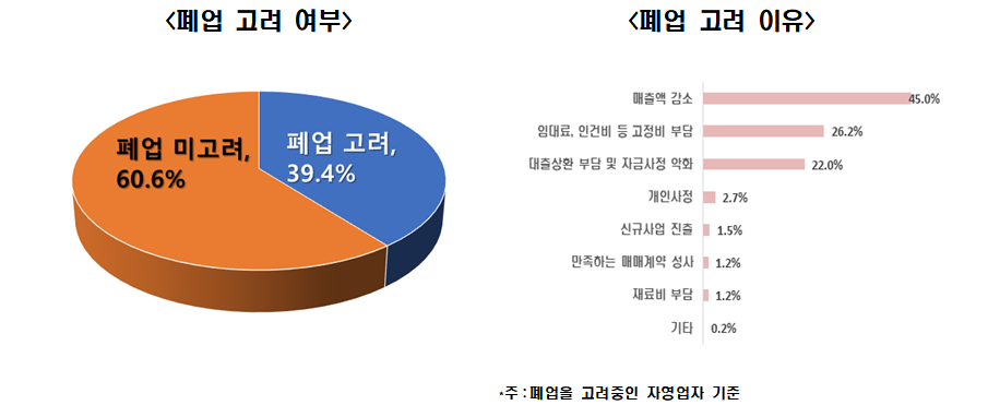(한국경제연구원 '자영업자 실태조사' 캡쳐)