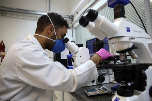 ▲브라질 상파울루 대학 실험실에서 8월 30일(현지시간) 한 연구원이 현미경을 들여다 보고 있다. 상파울루/로이터연합뉴스
