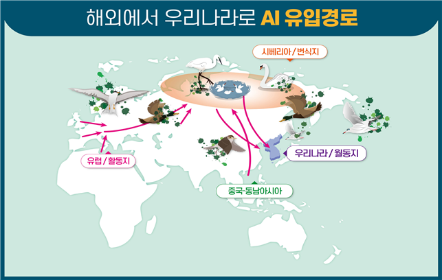 ▲AI 유입 경로. (사진제공=농림축산식품부)