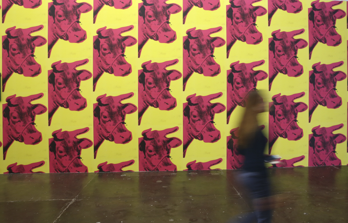 ▲브라질 상파울루 비엔날레 전시장에 2018년 9월 11일 소와 관련한 작품이 전시돼 있다. 상파울루/AP뉴시스