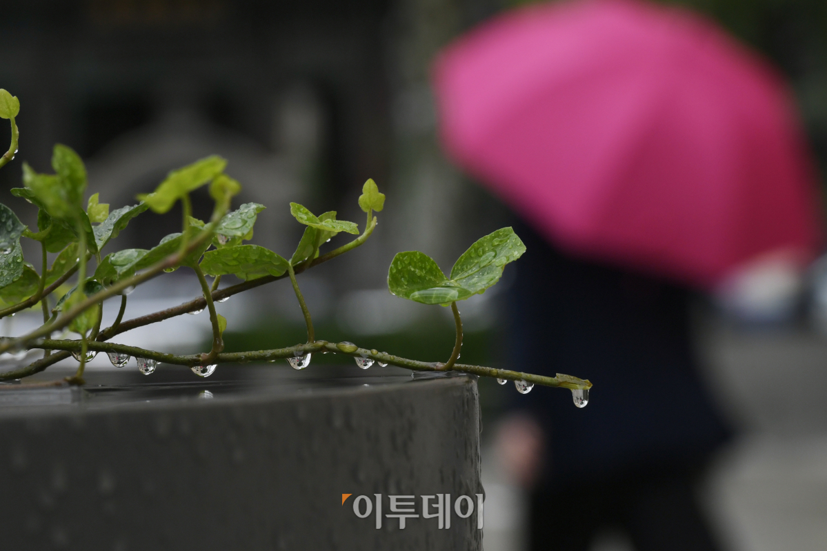 (조현호 기자 hyunho@)