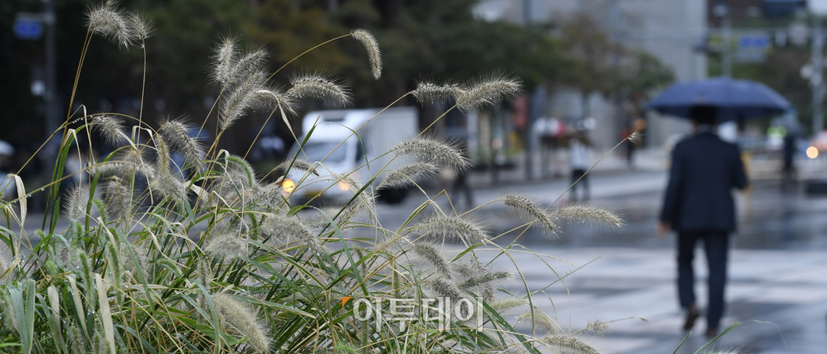 (조현호 기자 hyunho@)