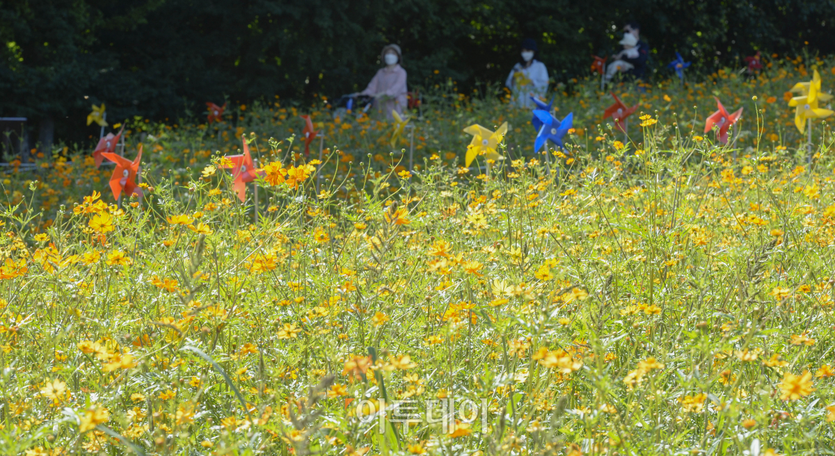 (조현호 기자 hyunho@)