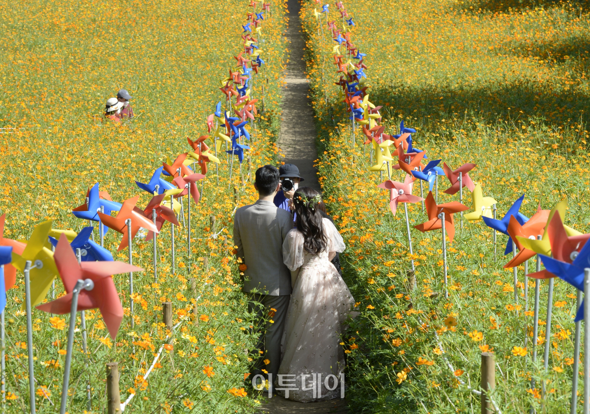 (조현호 기자 hyunho@)