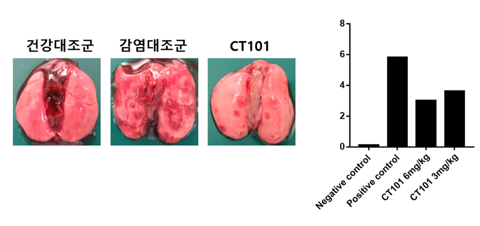 ▲국동은 최근 동물모델에서의 효력시험을 통해 ‘CT101’의 코로나19 치료 효과를 확인했다. (자료 = 국동)