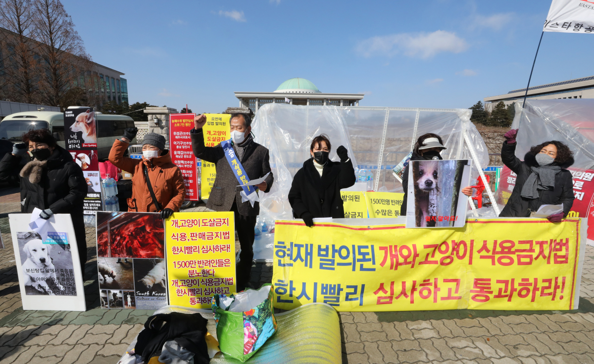 ▲반려동물단체 회원들이 2월 17일 서울 여의도 국회 앞에서 기자회견을 열고 개와 고양이의 도살, 식용 판매를 금지하는 내용의 동물보호법 개정안의 국회 통과를 촉구하고 있다. (뉴시스  )