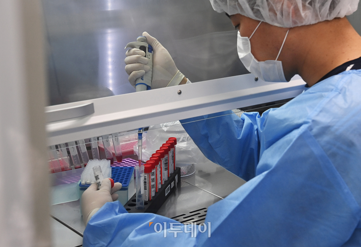 (사진공동취재단)