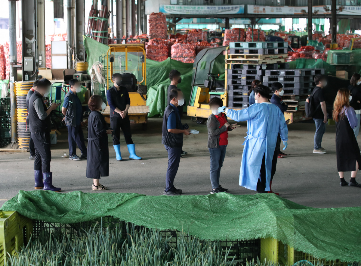 ▲서울 송파구 가락시장에 설치된 선별진료소에서 시장 상인들을 비롯한 시민들이 검사를 받기 위해 줄을 서 있다.  (뉴시스)