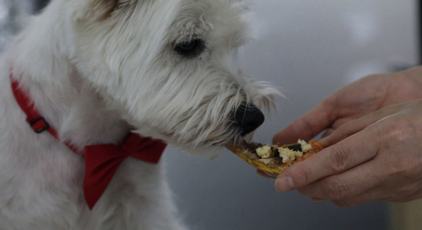 ▲‘관찰카메라 24’(사진제공=채널A)