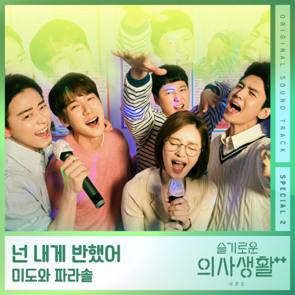 ▲‘슬기로운 의사생활 시즌2’(사진=스튜디오 마음C)
