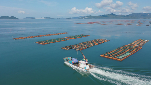 ▲'한국기행'(사진제공=EBS1)