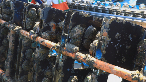 ▲'한국기행'(사진제공=EBS1)