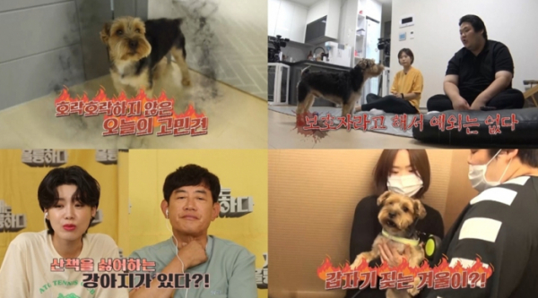 ▲‘개는 훌륭하다’(사진제공=KBS 2TV)