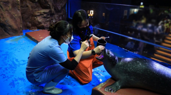 ▲‘관찰카메라 24'(사진제공=채널A)