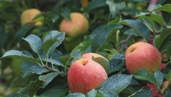 ▲'한국기행'(사진제공=EBS1)