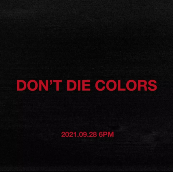 ▲따마(사진 = 아메바컬쳐 제공)