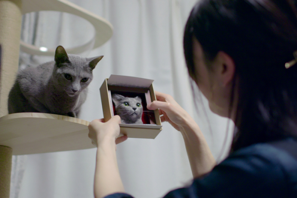 ▲실제 고양이의 모습을 그대로 담은 3D 초상화 '와쿠네코'는 반려동물의 모습을 영원히 기억하려는 사람들에게 인기를 끌고 있다.  (넷플릭스)