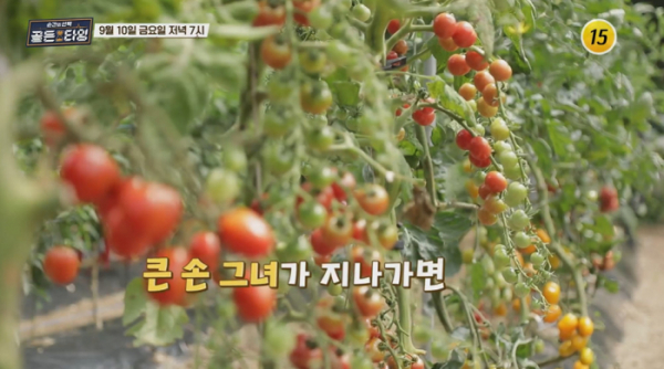 ▲'순간의 선택 골든타임'(사진제공=TV조선)