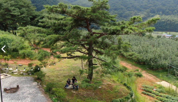 ▲'한국기행'(사진제공=EBS1)