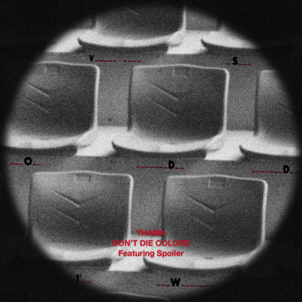 ▲따마(사진 = 아메바컬쳐 제공)