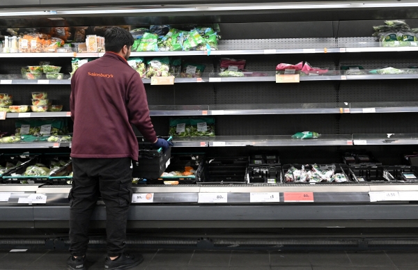 ▲7일(현지시간) 한 근로자가 런던 슈퍼마켓 빈 선반에 상추와 샐러드 잎을 채우고 있다. 런던/AFP연합뉴스
