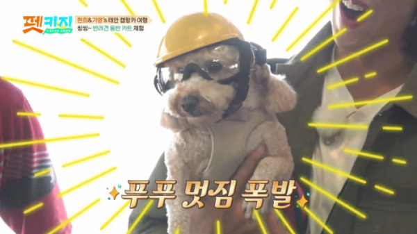 ▲‘펫키지’(사진제공=JTBC)