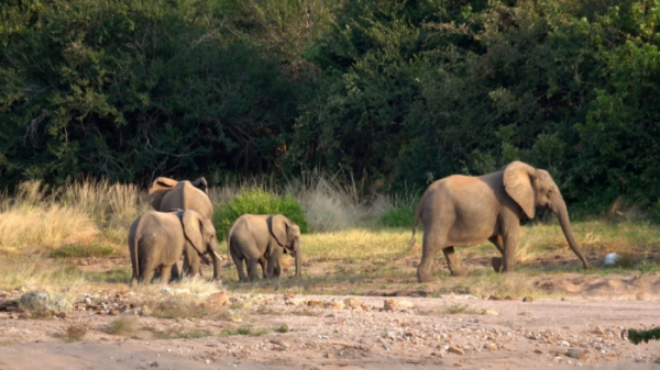 ▲'걸어서 세계속으로'(사진제공=KBS 1TV)