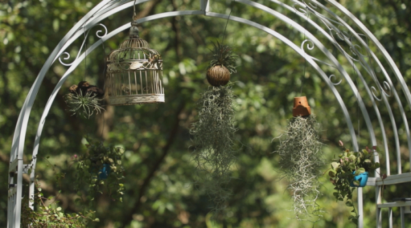 ▲'한국기행'(사진제공=EBS1)