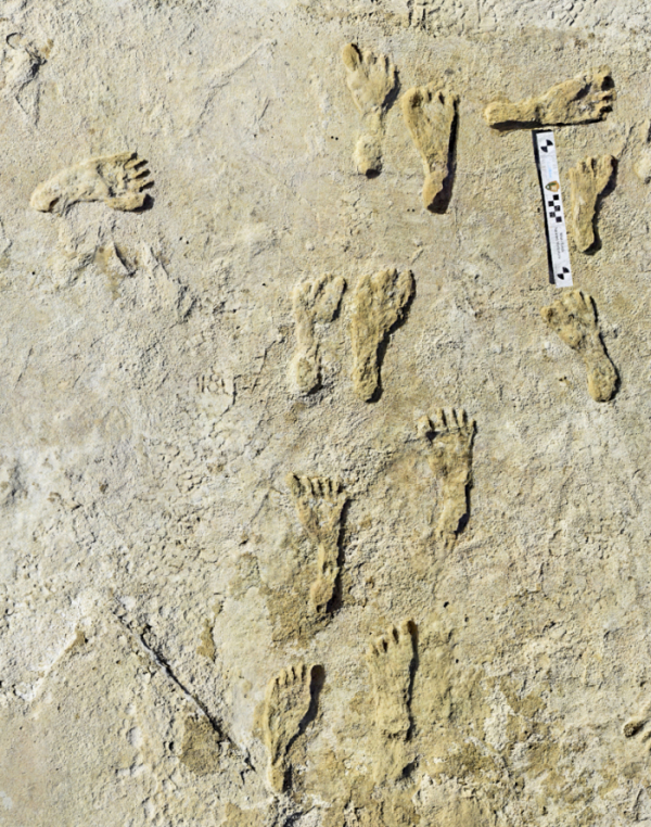 ▲미국 뉴멕시코 주 화이트 샌즈 국립공원에서 발견된 2만 년 전 고대 인류 발자국. (뉴시스)