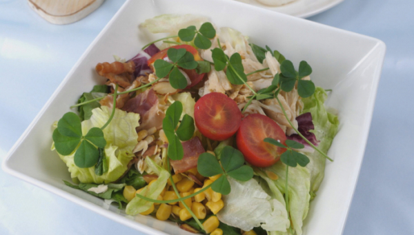 ▲'서민갑부'(사진제공=채널A)