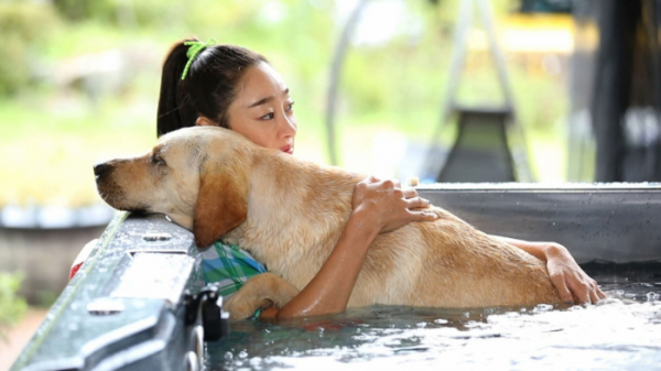 ▲'펫키지'(사진제공=JTBC)