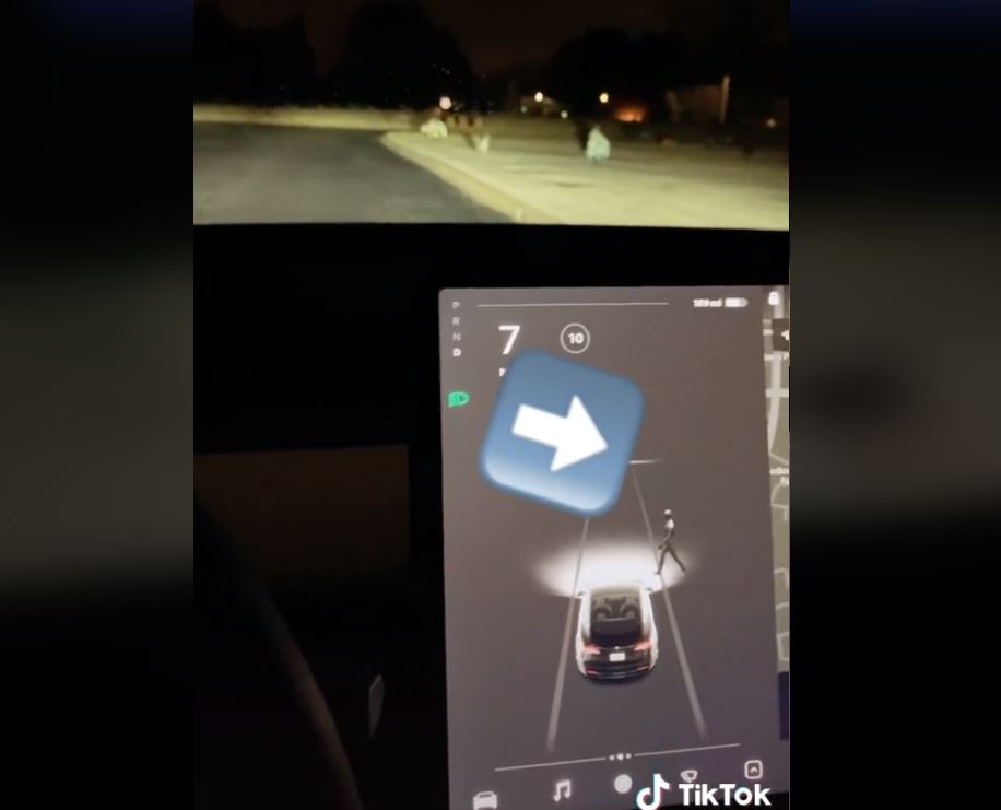 (@sina ata 틱톡 캡처)