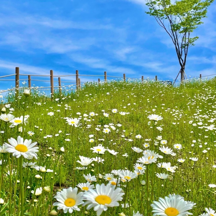 (출처=네이버 '칼리오페' 업체제공사진)